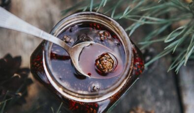 Öksürüğü şıp diye kesen doğal mucize: Her gün 1 tatlı kaşığı kozalak şurubu içmenin 10 faydası