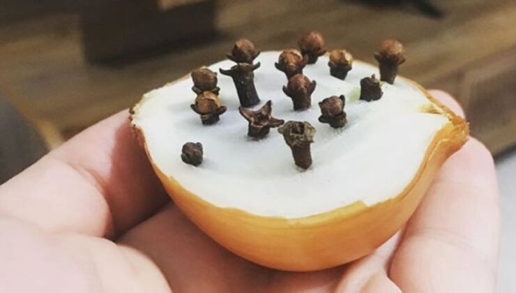 Saf antibiyotik: Soğana karanfil 4-5 karanfil batırın