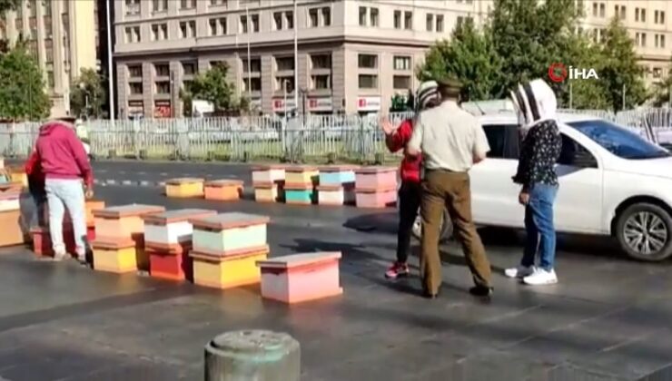 Şili’de arıcıların protestosuna müdahale eden polisleri arı soktu