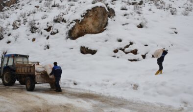 Tanin Dağlarına kepçelerle ulaşılıp yem bırakıldı
