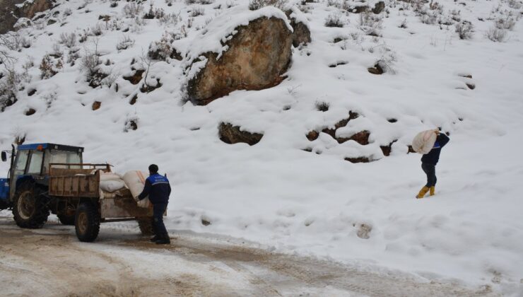 Tanin Dağlarına kepçelerle ulaşılıp yem bırakıldı