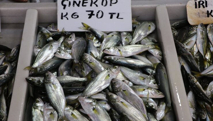 Tekirdağ’da “çinekop” yeni yılda tezgahları süslüyor