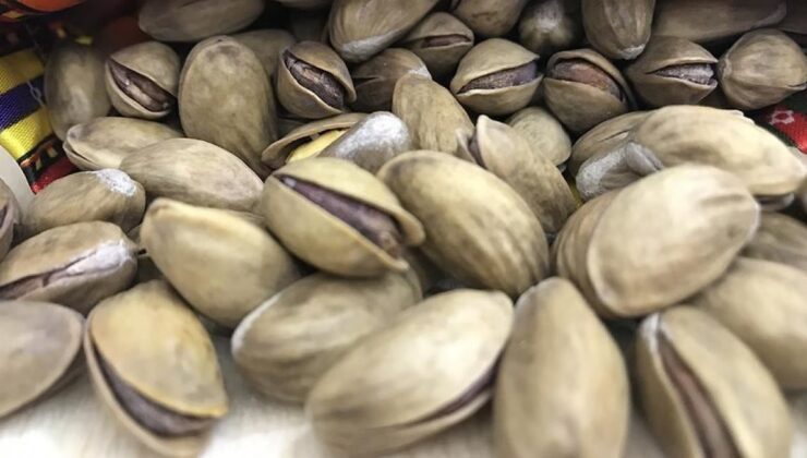 Türkiye’den 110 ülkeye Antep fıstığı ihracatı