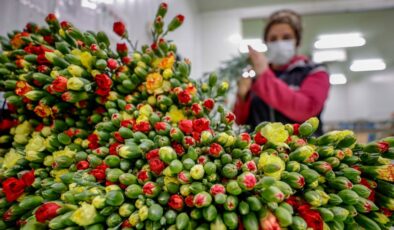 Türkiye’nin 2021’de çiçek ihracatı 148 milyon dolar