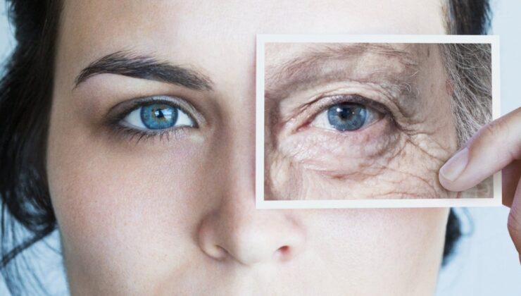 Yaşlanmaya karşı, kansere etkili! O besini tüketenler yaşadı…