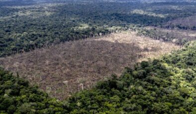 Amazonlar’da Ocak ayındaki en yüksek tahribat kayıtlara geçti