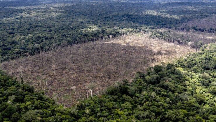 Amazonlar’da Ocak ayındaki en yüksek tahribat kayıtlara geçti