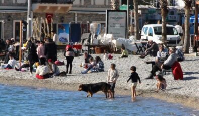 Bodrum’da güneşi gören sahile koştu