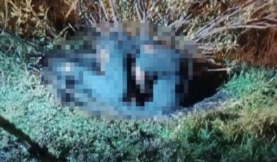 İzmir’de valizden çıkan cesedin kimliği belli oldu