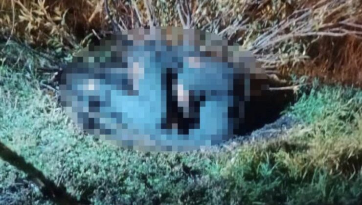 İzmir’de valizden çıkan cesedin kimliği belli oldu