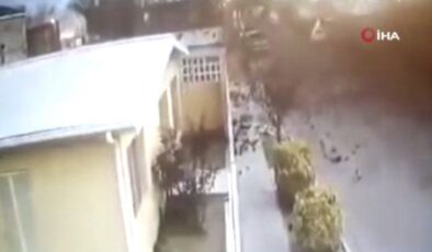 Meksika’da kuş sürüsü yere çakıldı