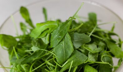 Rokanın sağlığa 4 büyük faydası