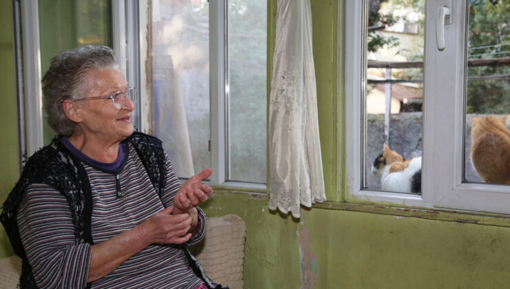 Nermin Ersan: Benim elim ayağım oldular