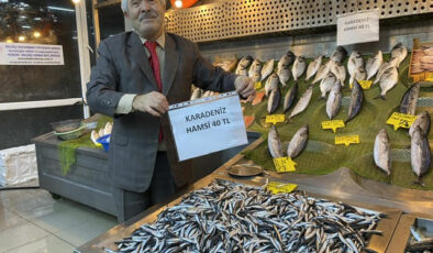 PALAMUTTAN SONRA HAMSİ FİYATLARI DA DÜŞTÜ