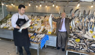 Karadeniz somonu ve palamutun fiyatları düştü