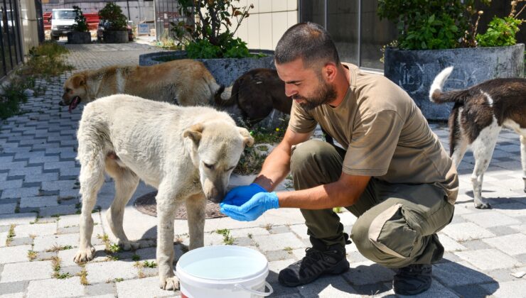 Can dostlarımız için seferber oldular