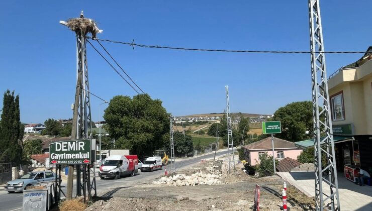 Leylek yavruları için yol inşaatı durduruldu