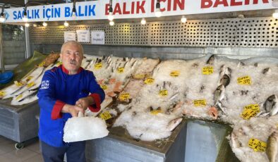 Sıcaklıklar arttı balıklar buza gömüldü