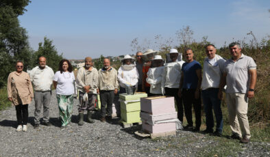 Büyükçekmece’de ilk bal hasadı gerçekleşti