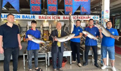 Denizlerde Kofana bereketi 800 liradan 200 liraya düştü