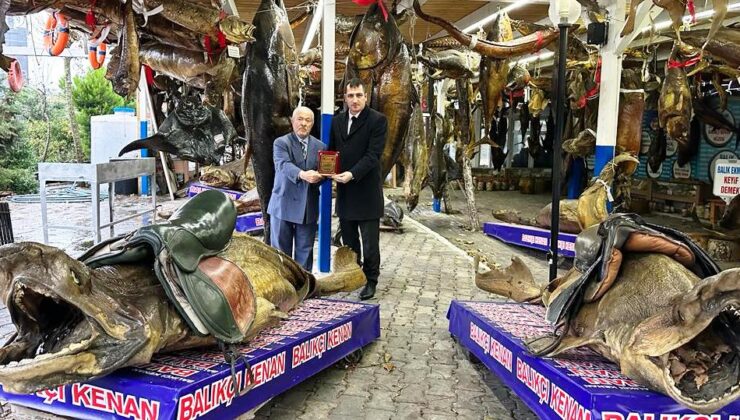 TÜRKİYE DENİZ CANLILARI MÜZESİ ÖDÜLE DOYMUYOR