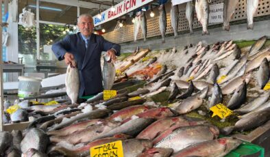 Karadeniz somonu ve Karadeniz alası bolluğu 16 gündür devam ediyor