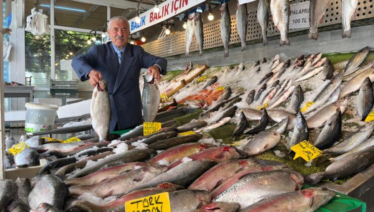 Karadeniz somonu ve Karadeniz alası bolluğu 16 gündür devam ediyor