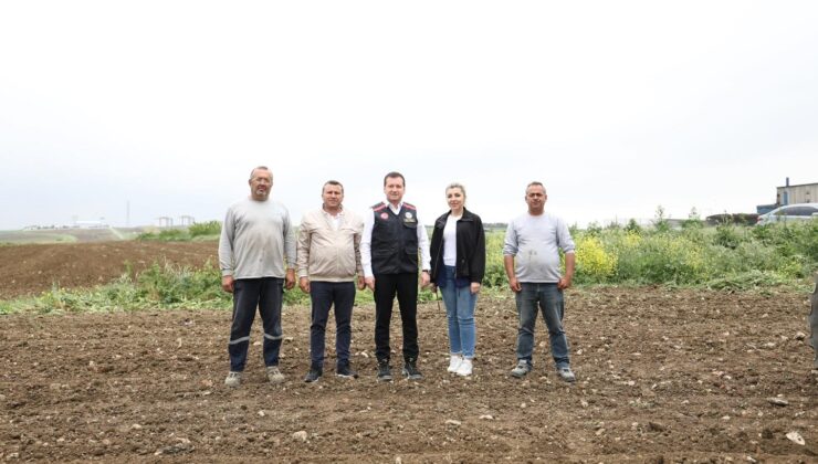 Silivri Belediye Başkanı Bora Balcıoğlu, Alipaşa Mahallesi’nde Ayçiçek Ekimi Gerçekleştirdi