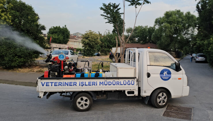Küçükçekmece Belediyesi sivrisineklere karşı alarmda