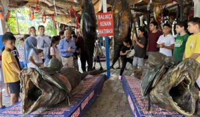 Yarım asırlık mumya balık müzesi öğrencilerin okulu oldu