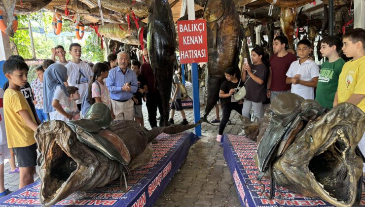 Yarım asırlık mumya balık müzesi öğrencilerin okulu oldu