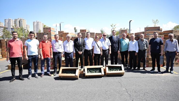 İBB ve Silivri Belediyesi’nden Çiftçilere Fide Desteği