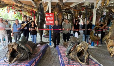 Türkiye Deniz Canlıları Müzesi 52 yaşında