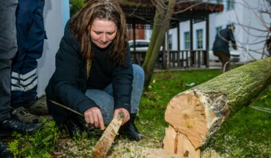 Esenyurt’ta teke böceğine karşı etkin mücadele