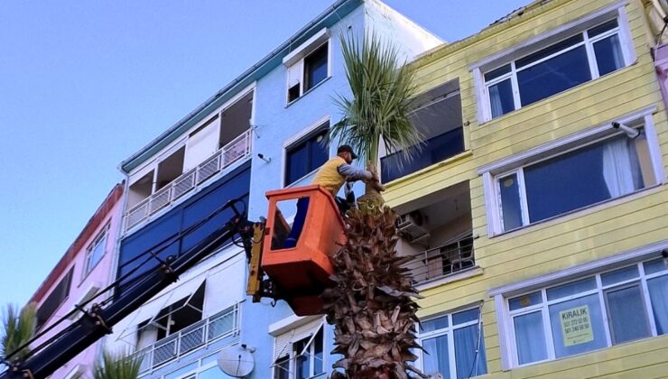 Silivri Belediyesi Kışa Hazırlık Çalışmalarına Devam Ediyor