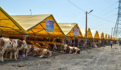 Esenyurt’ta Kurban Satış ve Kesim Alanı Hazır