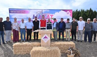 Çatalca’da Ayçiçeği Hasat Bayramı Coşkusu