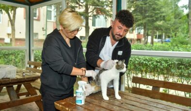 Esenyurt’ta Sokak Kedilerine Parazit Uygulaması: Hem Hayvan Sağlığına Hem Toplum Sağlığına Katkı!