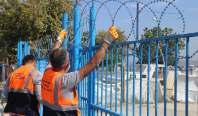Danıştay’dan göçmen kuşlar ve sokak hayvanları için örnek karar