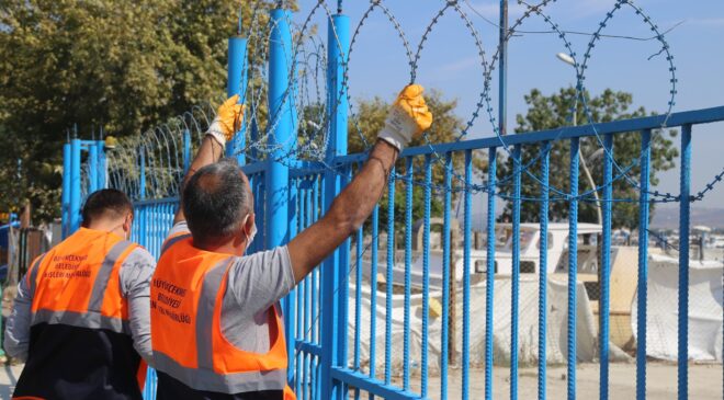 Danıştay’dan göçmen kuşlar ve sokak hayvanları için örnek karar