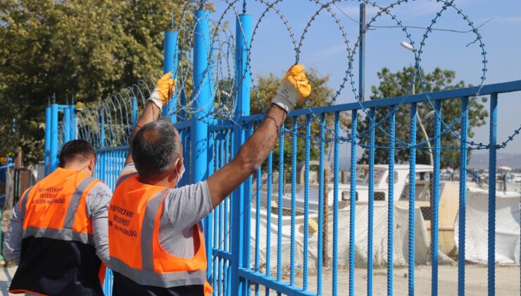 Danıştay’dan göçmen kuşlar ve sokak hayvanları için örnek karar